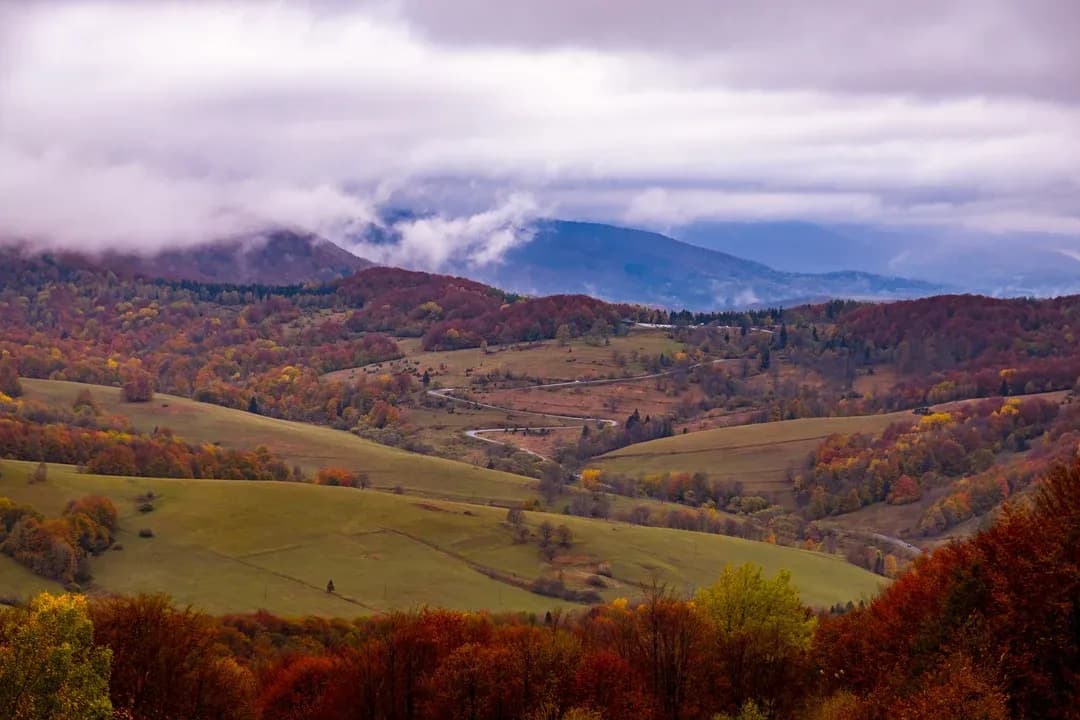 Bieszczady czy jest bezpiecznie? Odkryj zagrożenia i porady dla turystów