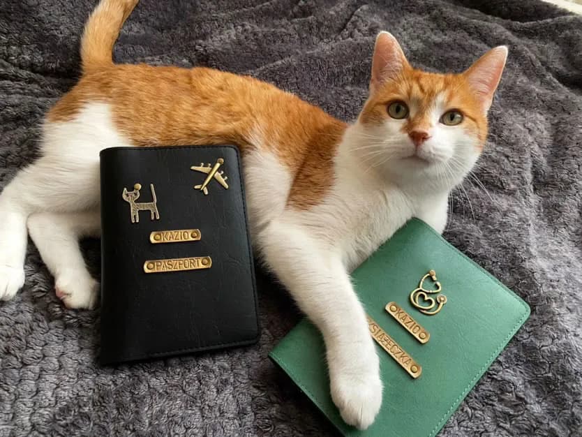 Jak wyrobić paszport dla kota - uniknij problemów z podróżą z pupilem